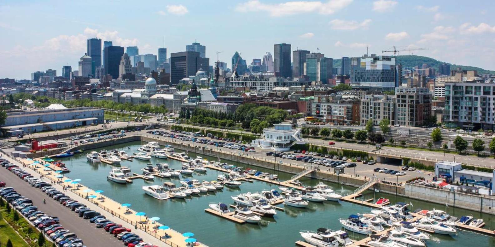 David 4* Montreal